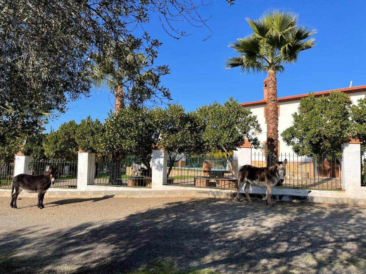 Casa Rural La Galvana 阿拉色那 外观 照片
